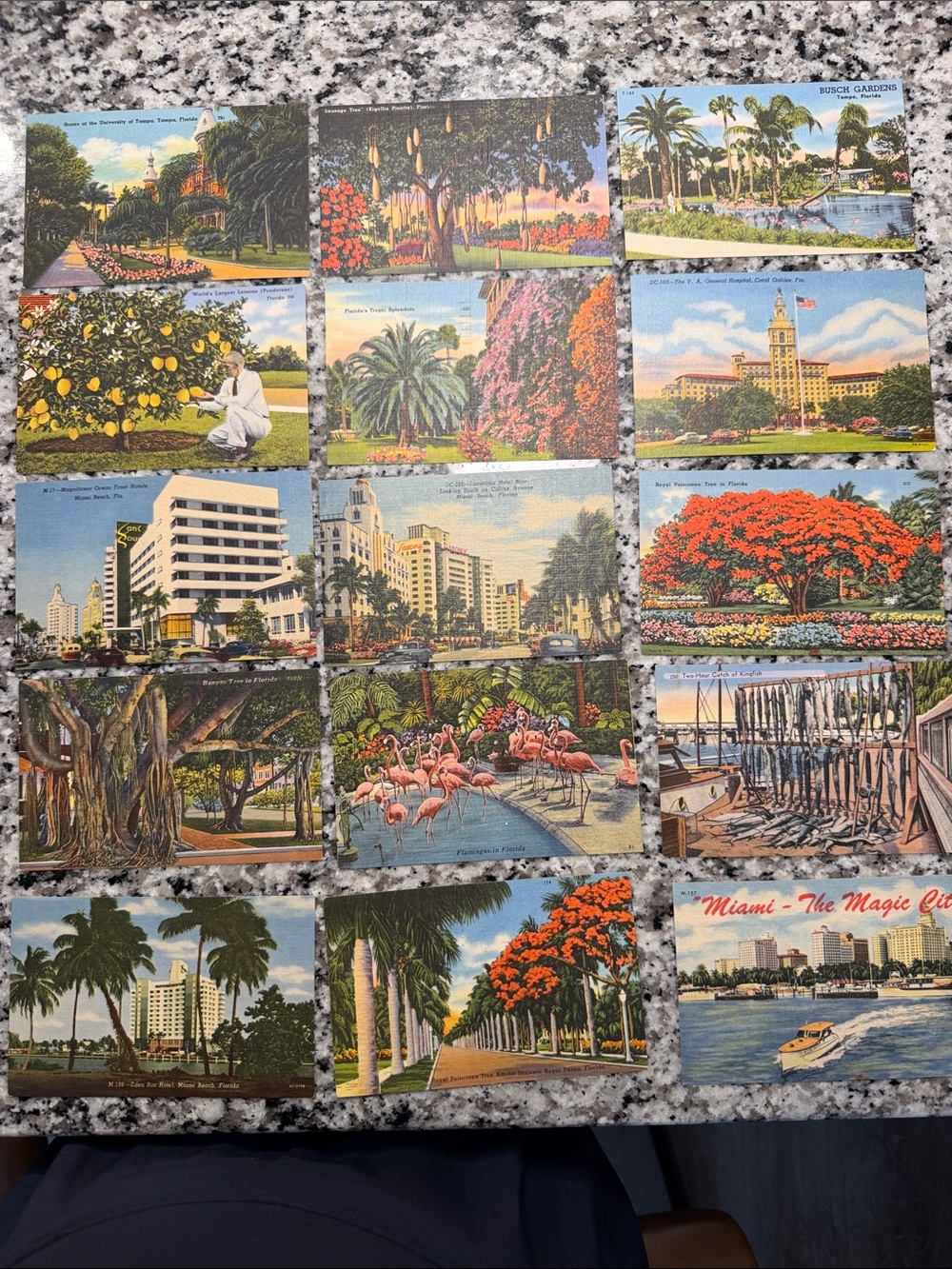 Lot of 25 Vintage Linen Florida - Miami Postcards Colorful Scenic Views